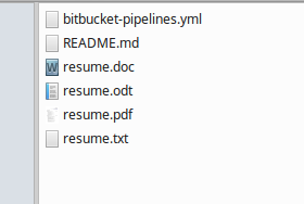 resume git 1