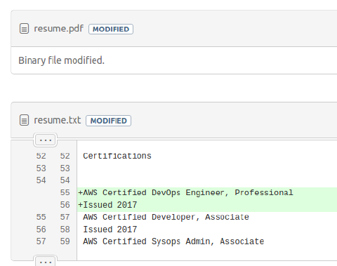 resume git 2
